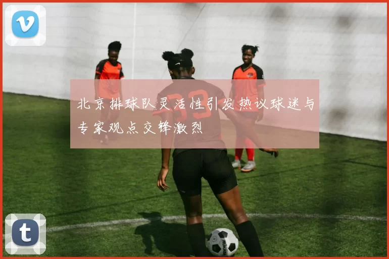 北京排球队灵活性引发热议球迷与专家观点交锋激烈