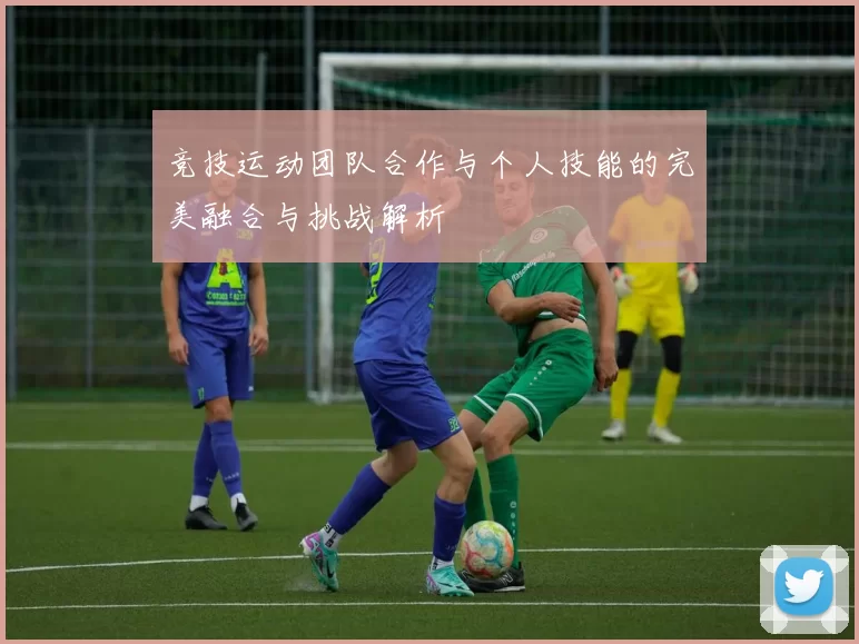 竞技运动团队合作与个人技能的完美融合与挑战解析