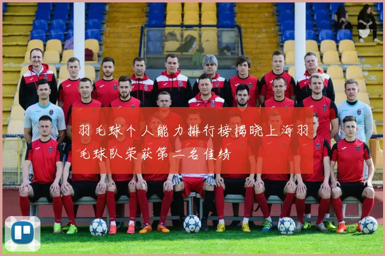 羽毛球个人能力排行榜揭晓上海羽毛球队荣获第二名佳绩