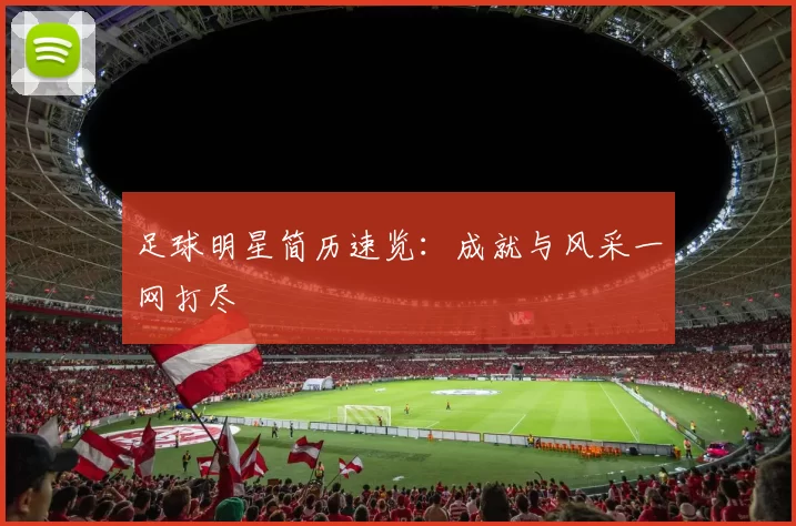 足球明星简历速览：成就与风采一网打尽