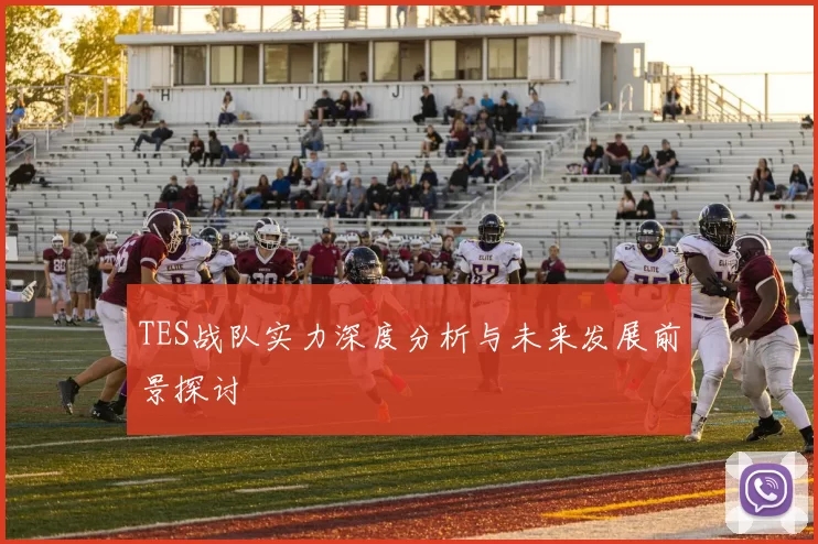 TES战队实力深度分析与未来发展前景探讨