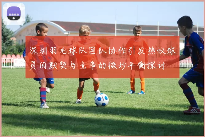 深圳羽毛球队团队协作引发热议球员间默契与竞争的微妙平衡探讨