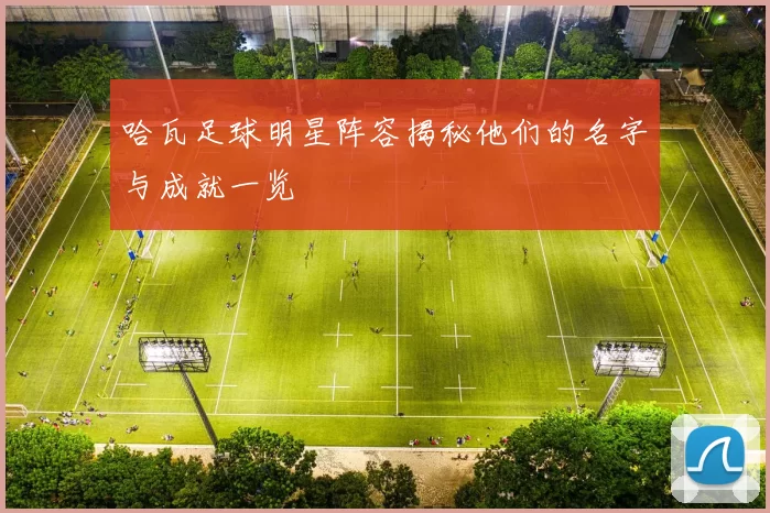 哈瓦足球明星阵容揭秘他们的名字与成就一览