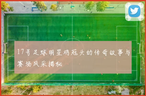 17号足球明星鸡冠头的传奇故事与赛场风采揭秘