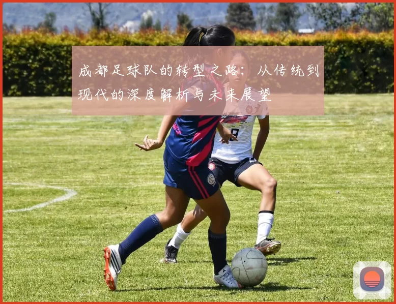 成都足球队的转型之路：从传统到现代的深度解析与未来展望