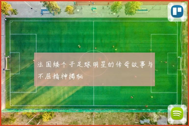法国矮个子足球明星的传奇故事与不屈精神揭秘