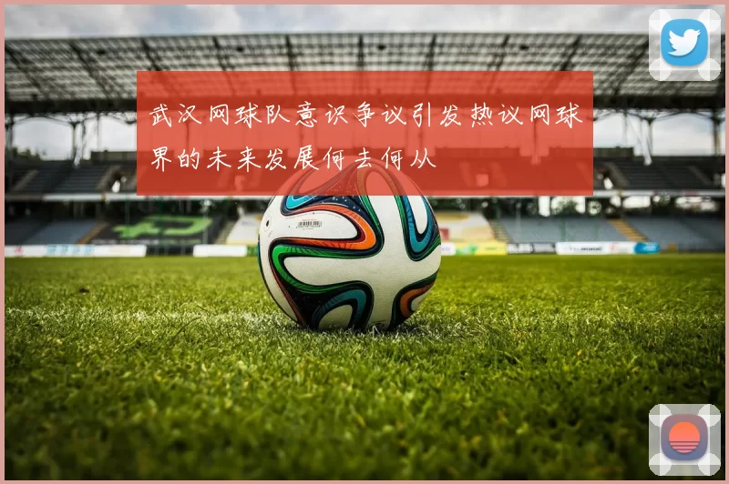 武汉网球队意识争议引发热议网球界的未来发展何去何从
