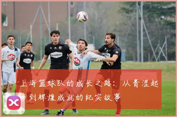 上海篮球队的成长之路：从青涩起步到辉煌成就的纪实故事