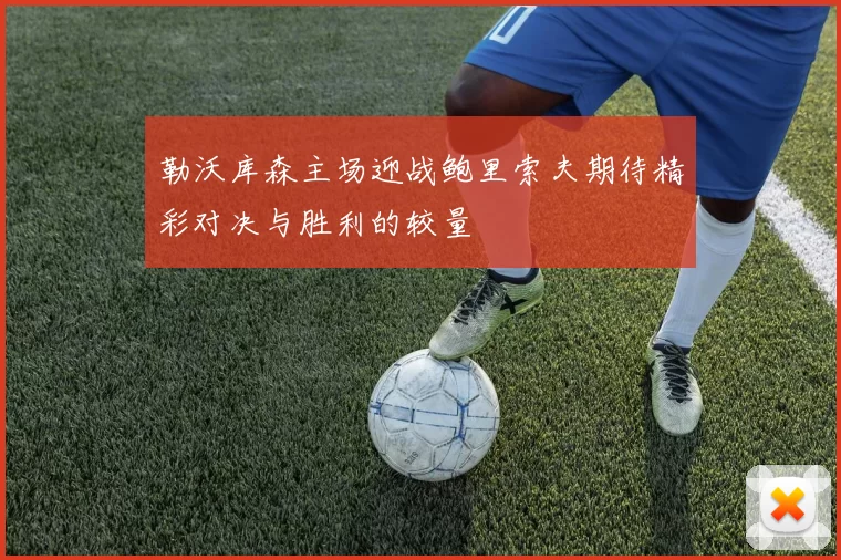 勒沃库森主场迎战鲍里索夫期待精彩对决与胜利的较量