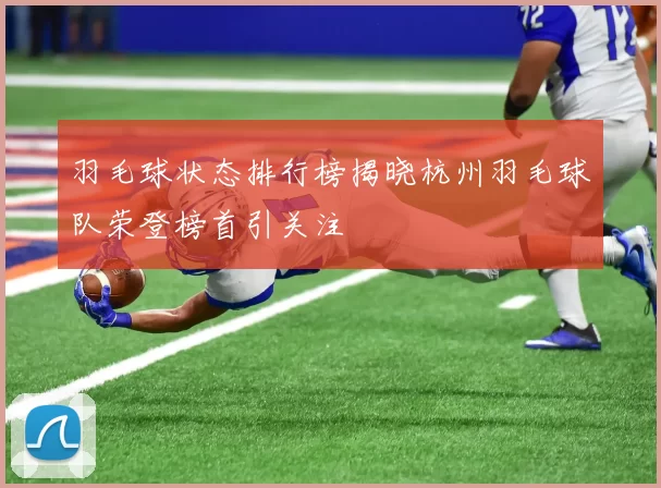 羽毛球状态排行榜揭晓杭州羽毛球队荣登榜首引关注