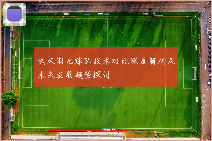 武汉羽毛球队技术对比深度解析及未来发展趋势探讨