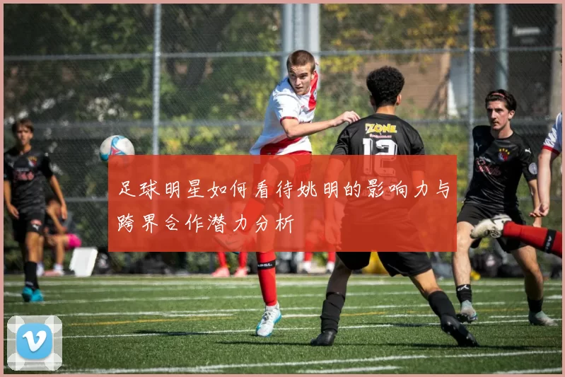 足球明星如何看待姚明的影响力与跨界合作潜力分析