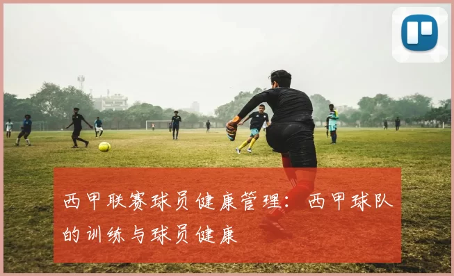 西甲联赛球员健康管理：西甲球队的训练与球员健康