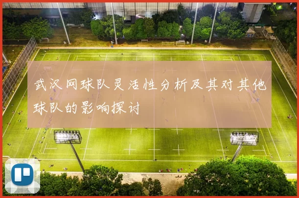 武汉网球队灵活性分析及其对其他球队的影响探讨