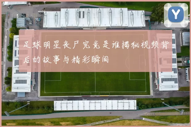 足球明星丧尸究竟是谁揭秘视频背后的故事与精彩瞬间