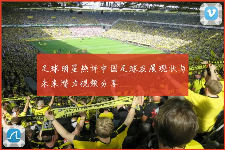 足球明星热评中国足球发展现状与未来潜力视频分享