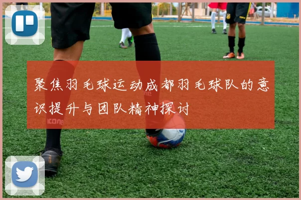 聚焦羽毛球运动成都羽毛球队的意识提升与团队精神探讨