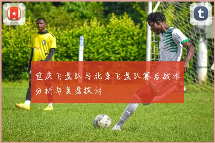 重庆飞盘队与北京飞盘队赛后战术分析与复盘探讨