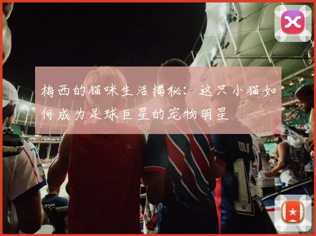 梅西的猫咪生活揭秘：这只小猫如何成为足球巨星的宠物明星