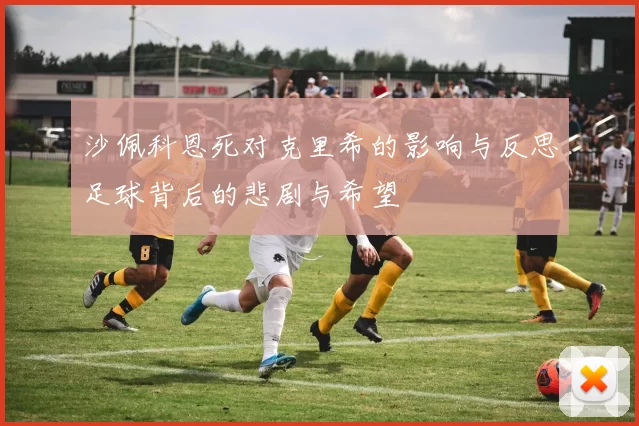 沙佩科恩死对克里希的影响与反思足球背后的悲剧与希望