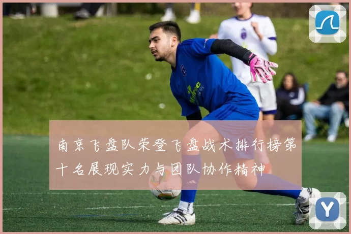 南京飞盘队荣登飞盘战术排行榜第十名展现实力与团队协作精神