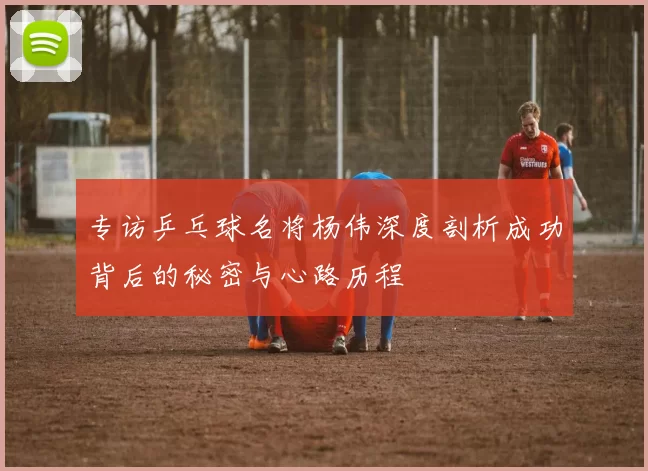 专访乒乓球名将杨伟深度剖析成功背后的秘密与心路历程